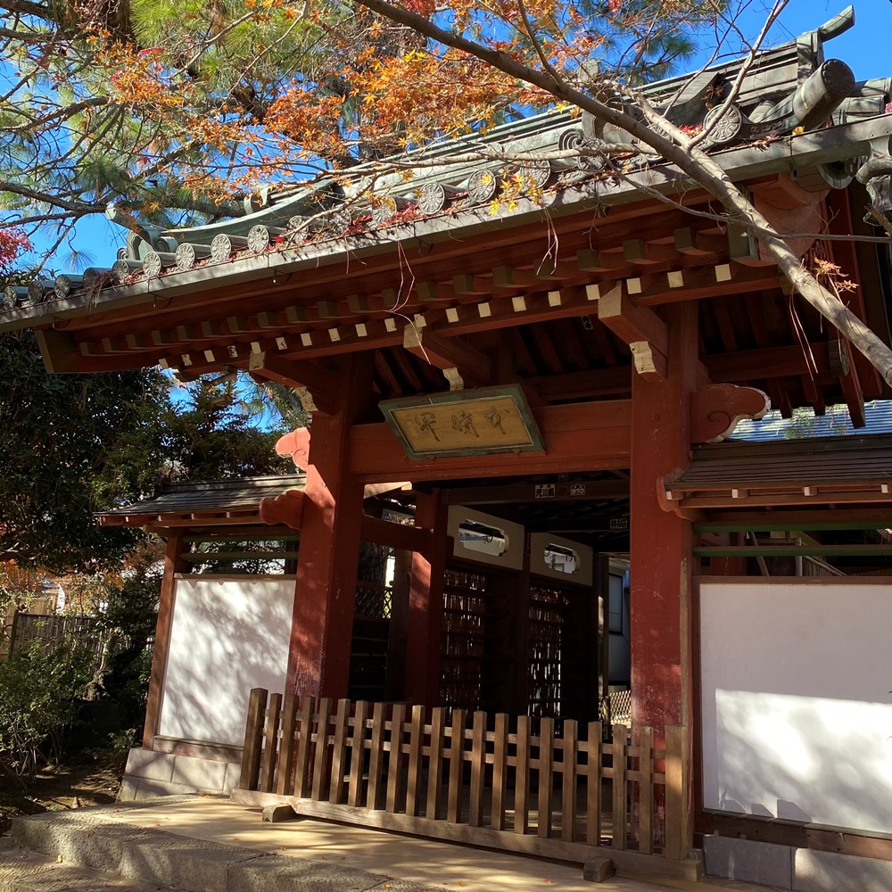 赤門