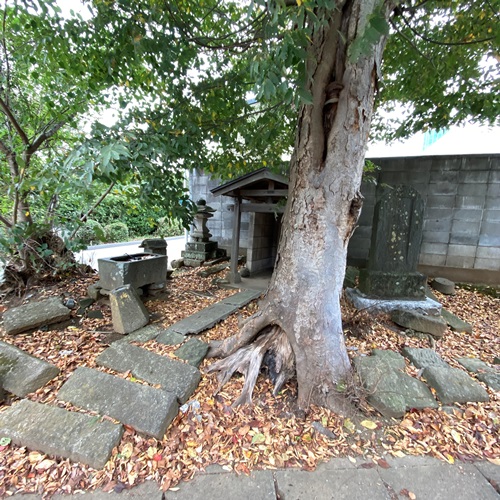 箕輪地区香取神社向かいの庚申塔