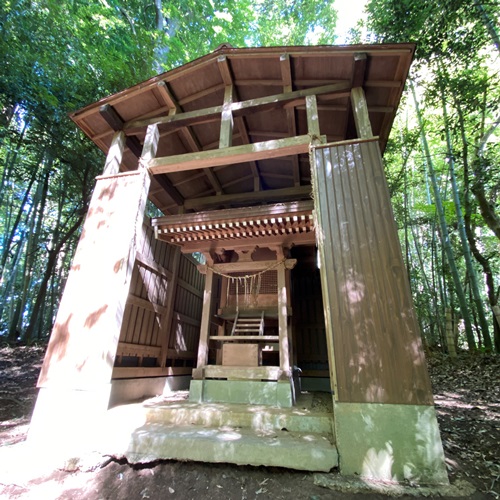 謎の大杉神社
