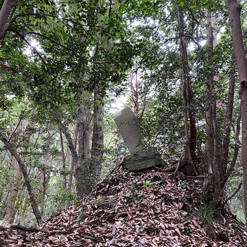 手賀の丘公園坂途中の森にある御嶽神社碑