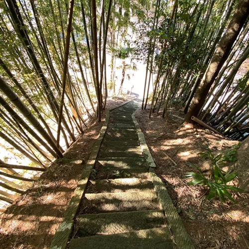 中峠水神社