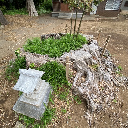 取手市小文間 香取神社