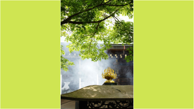 本土寺2012
