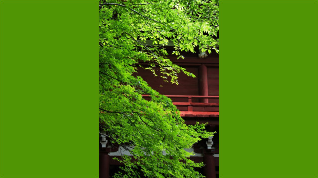 本土寺2012