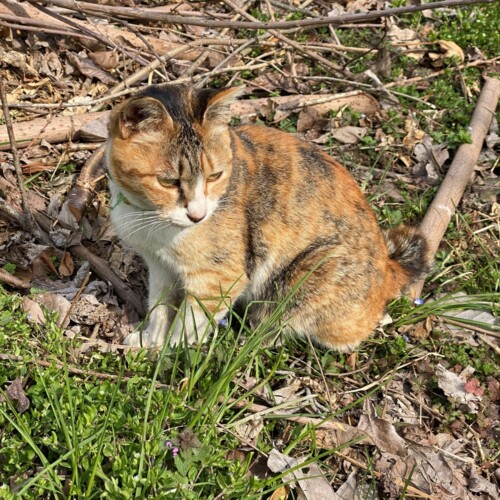 手賀沼ポタ2021/3/9