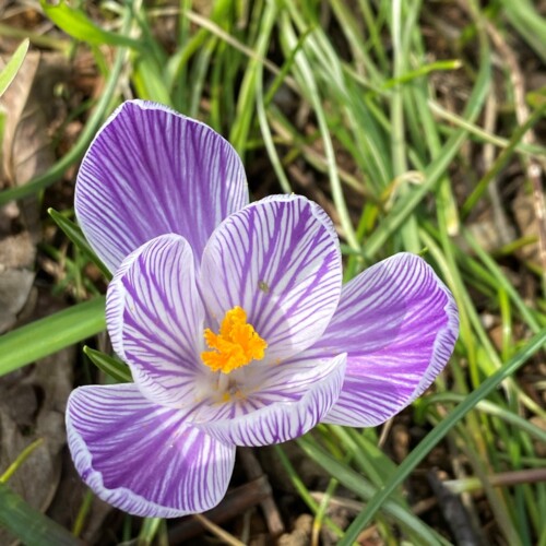 手賀沼ポタ2021/3/9