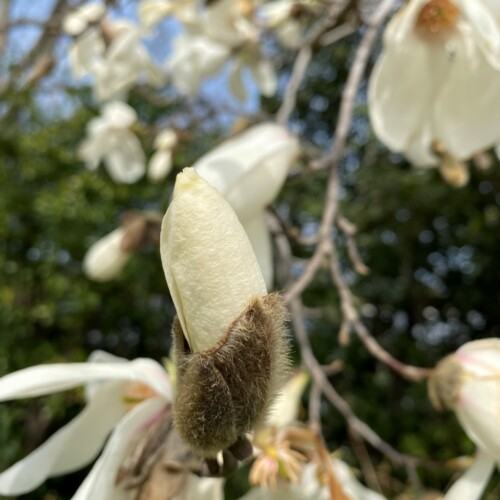 手賀沼ポタ2021/3/9