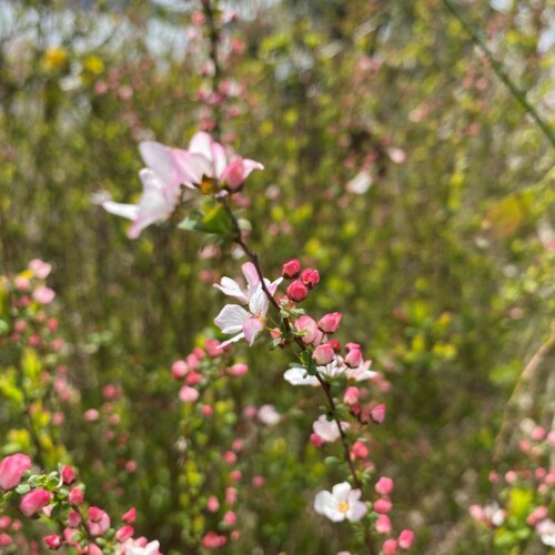 手賀沼ポタ2021/3/9