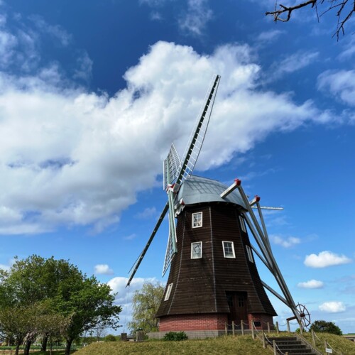 あけぼの山農業公園2021-4月