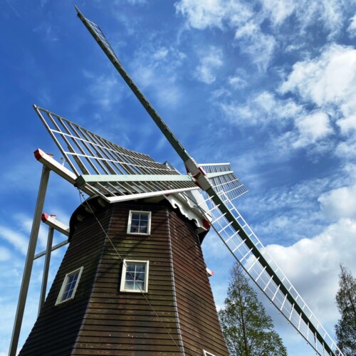 あけぼの山農業公園2021-4月