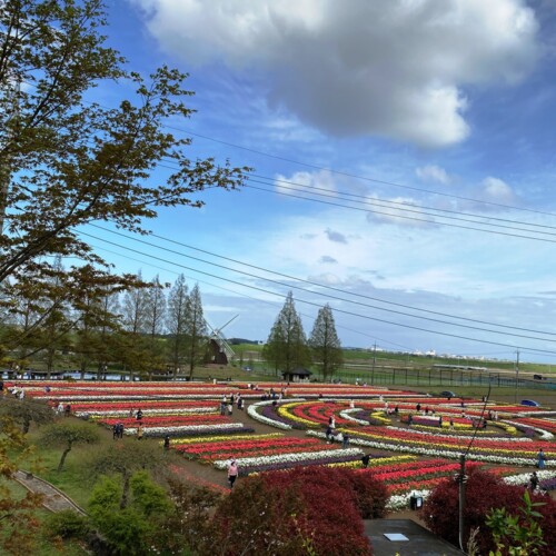 あけぼの山農業公園2021-4月