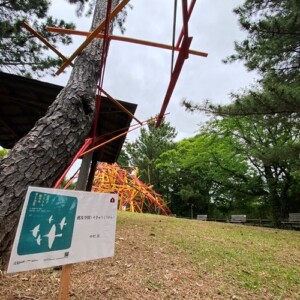 我孫子アートな散歩市 - I - 中村岳 - 遡求空間