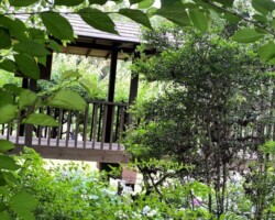 本土寺2021/6